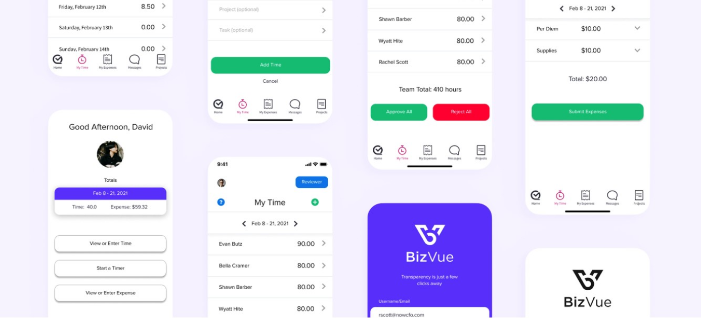 BizVue